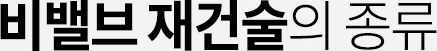 비밸브 재건술의 종류